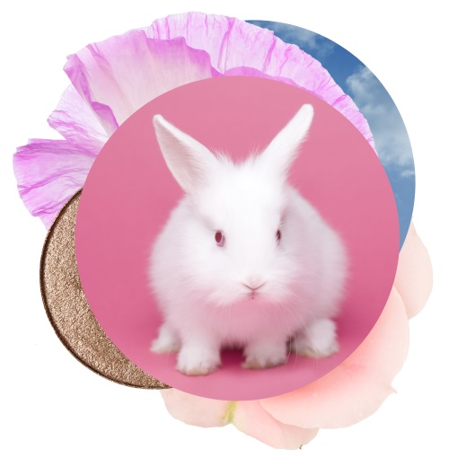 Primark certification Leaping Bunny